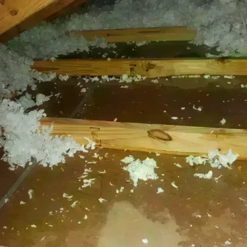 Attic Water Damage in Greeley County, KS