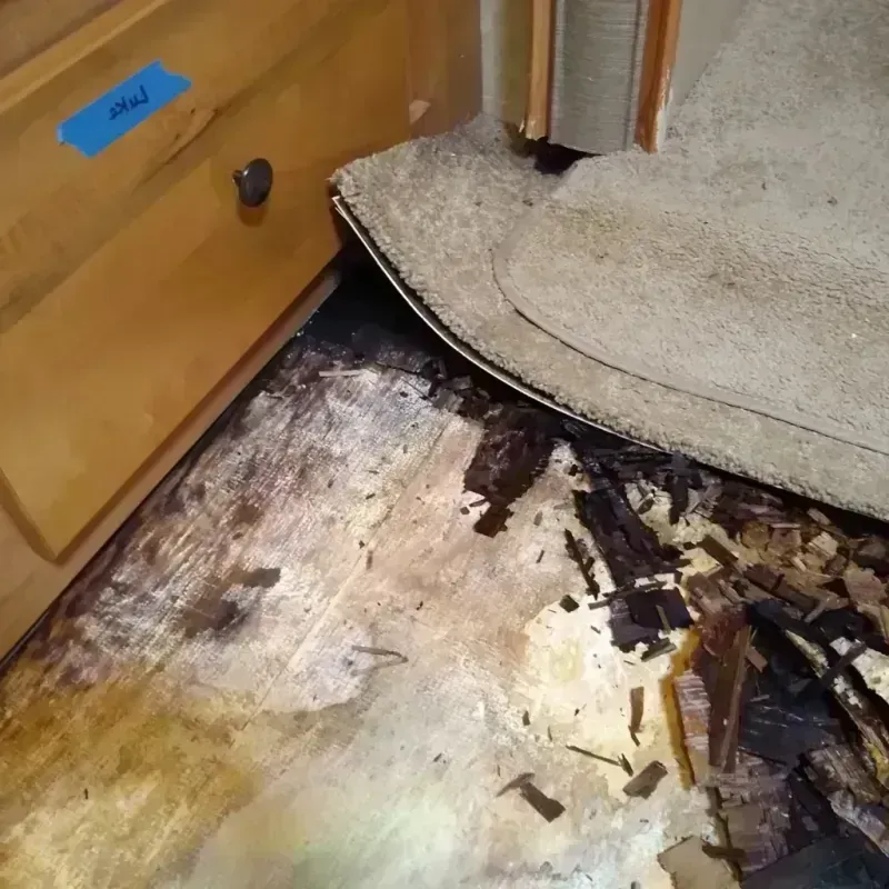 Best Wood Floor Water Damage Service in Greeley County, KS